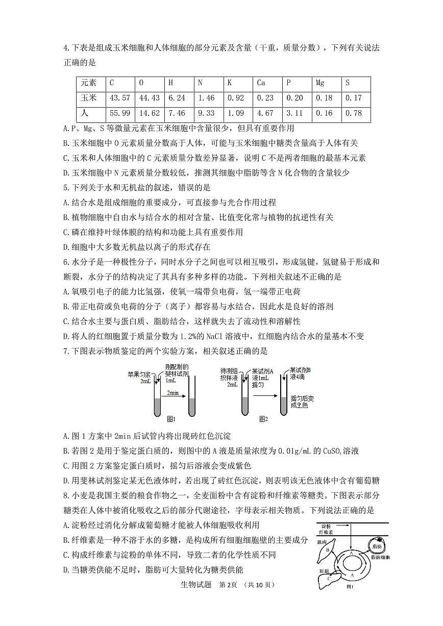 山东省师范大学附属中学2025-2026学年高一上学期期中生物试题第2页