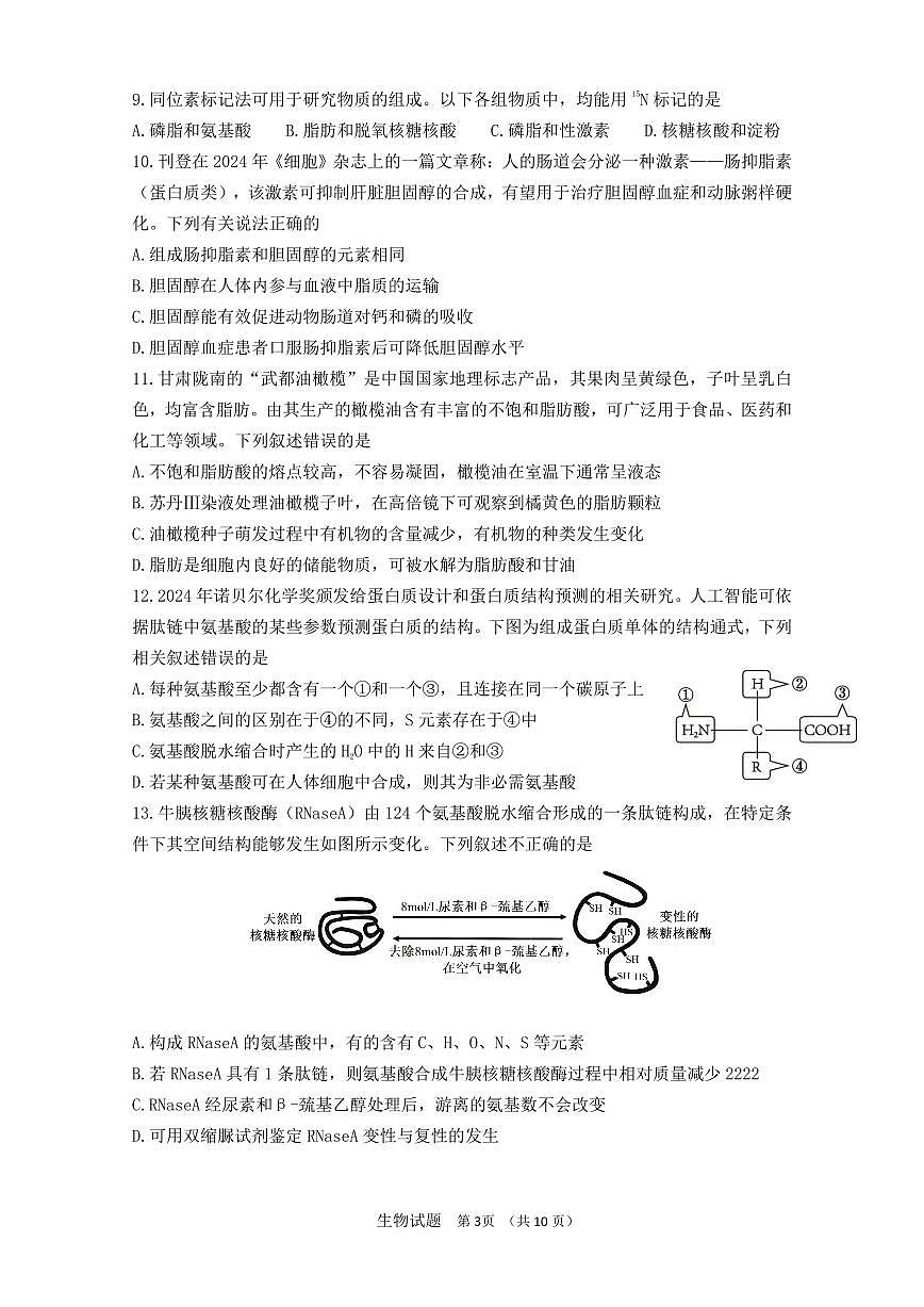 山东省师范大学附属中学2025-2026学年高一上学期期中生物试题第3页