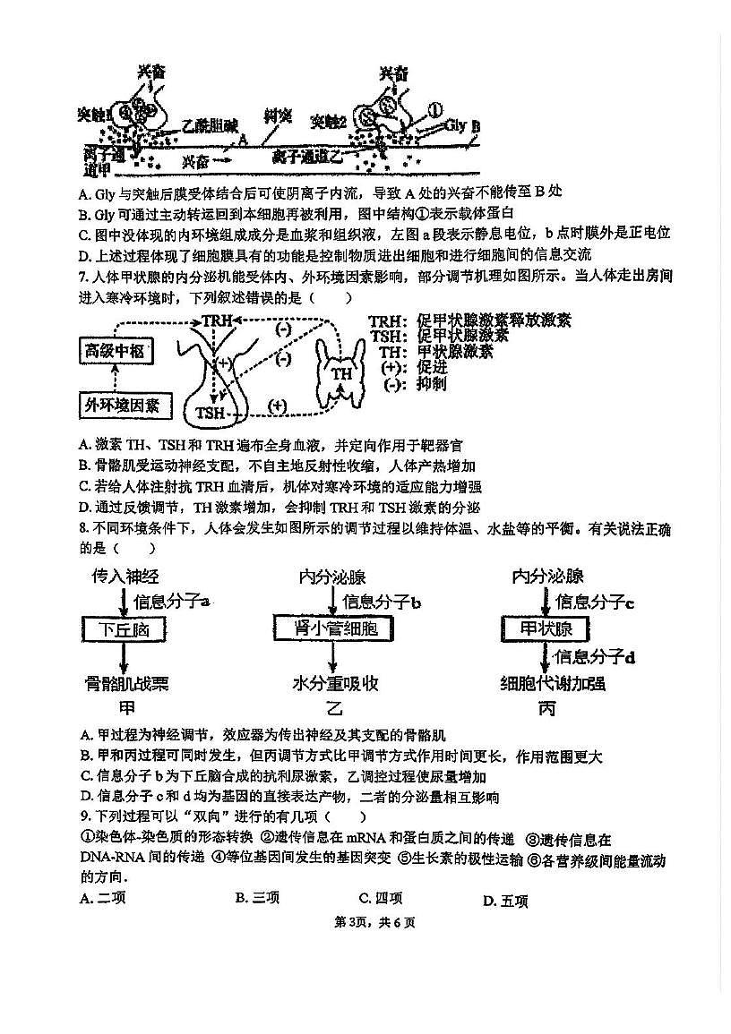 天津市静海区第四中学2025—2026学年高三上学期期中考试生物试题第3页