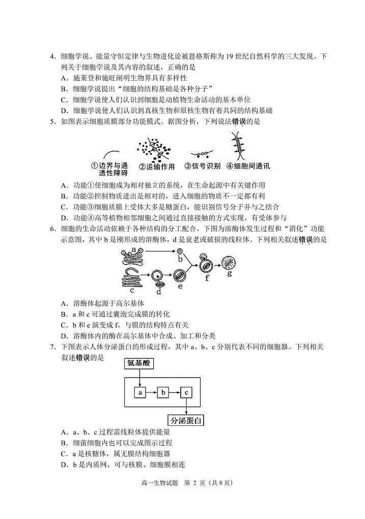 江苏省盐城市东台市2024-2025学年高一上学期期末考试生物试题第2页