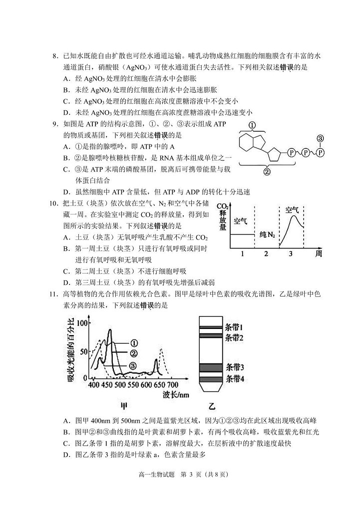 江苏省盐城市东台市2024-2025学年高一上学期期末考试生物试题第3页