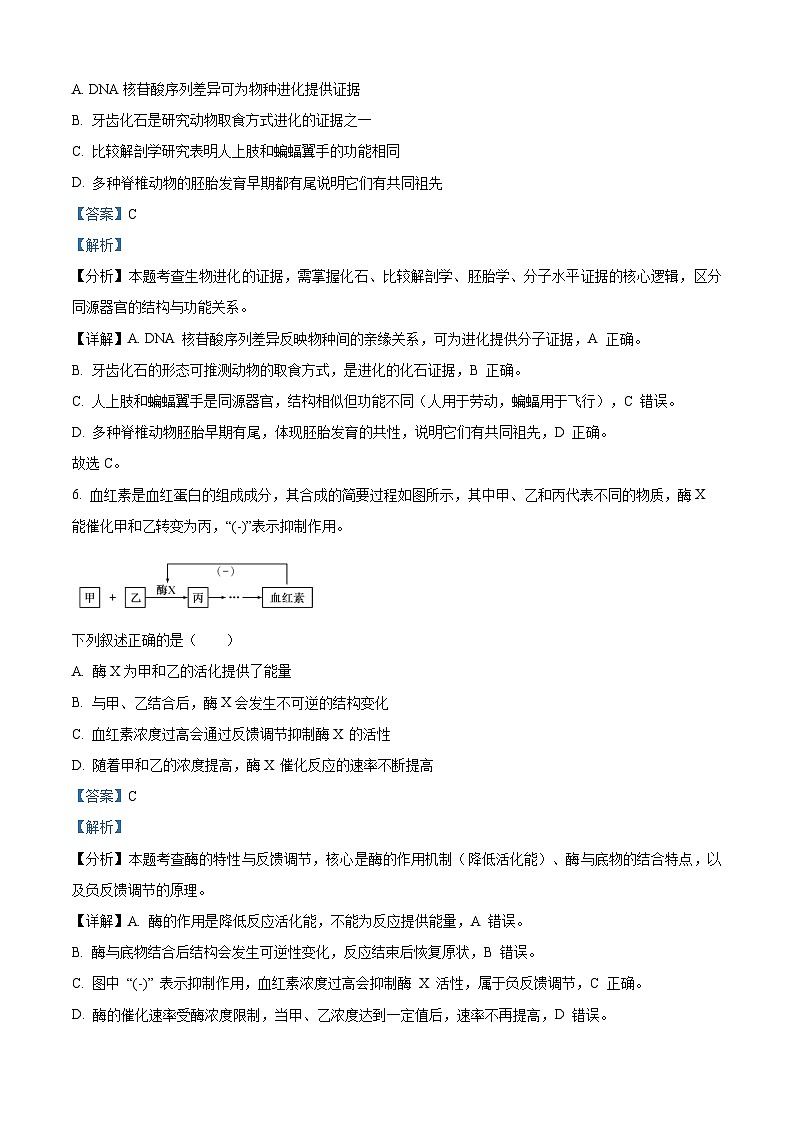 2025年6月浙江省普通高校招生选考高中生物（解析版）第3页