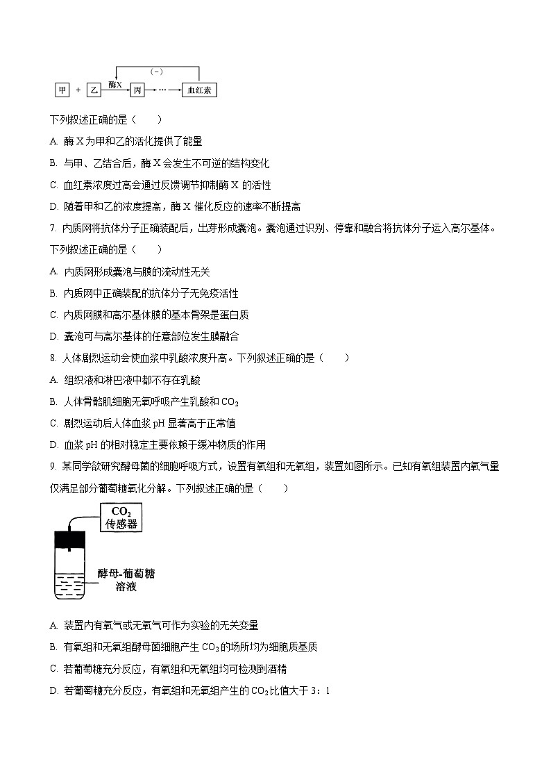 2025年6月浙江省普通高校招生选考高中生物（原卷版）第2页