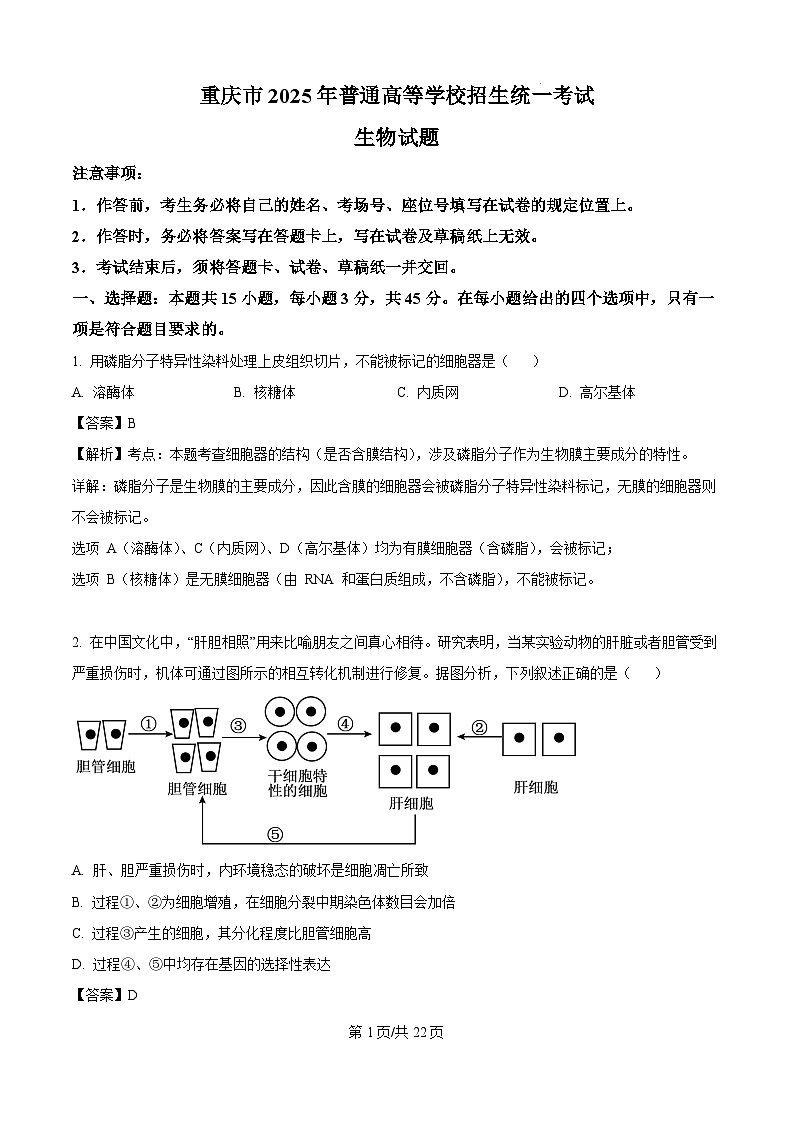2025年高考重庆卷生物高考真题（解析版）第1页