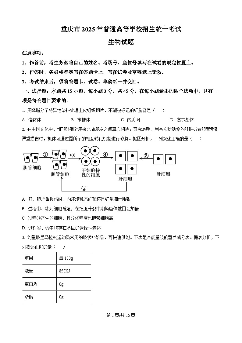 2025年高考重庆卷生物高考真题（原卷版）第1页
