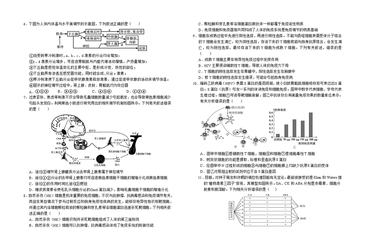 安徽省六安市金安区安徽省六安市第一中学2024-2025学年高二上学期1月期末生物试题第2页