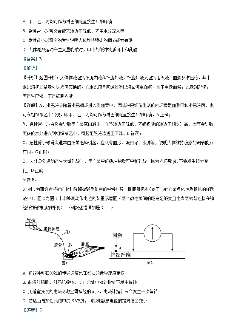 安徽省阜阳市临泉田家炳实验中学2024-2025学年高二上学期1月期末考试生物试题（解析版）-A4第2页