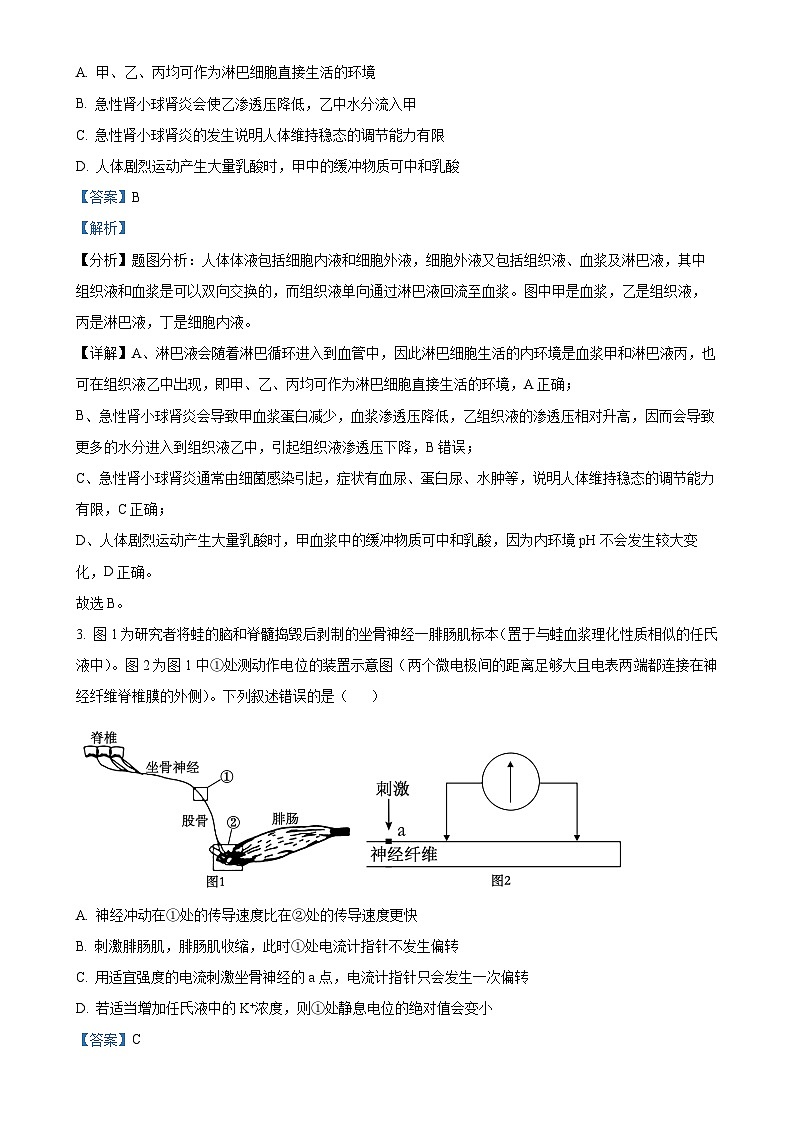 安徽省阜阳市临泉田家炳实验中学2024-2025学年高二上学期1月期末考试生物试题（解析版）-A4第2页