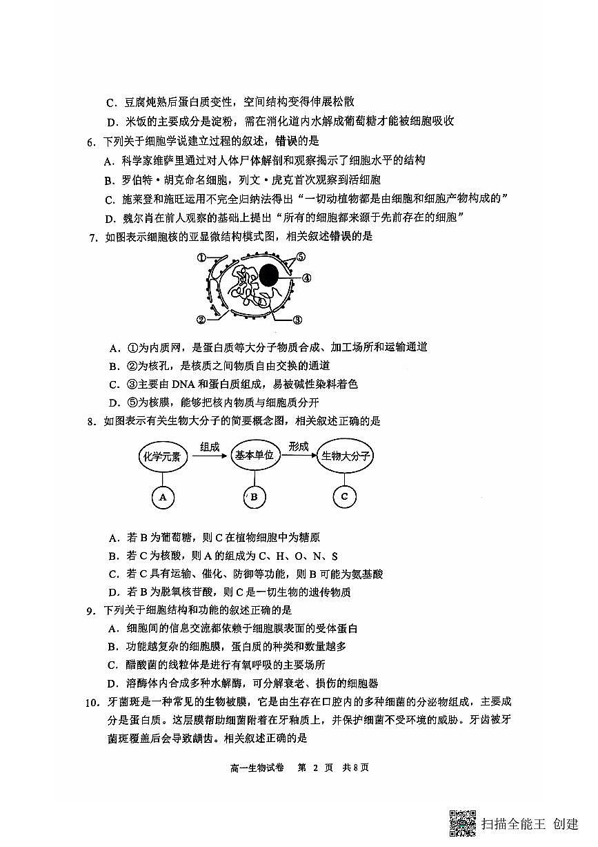 江苏省南通市海安市2024-2025学年高一上学期11月期中学业质量监测生物试题第2页