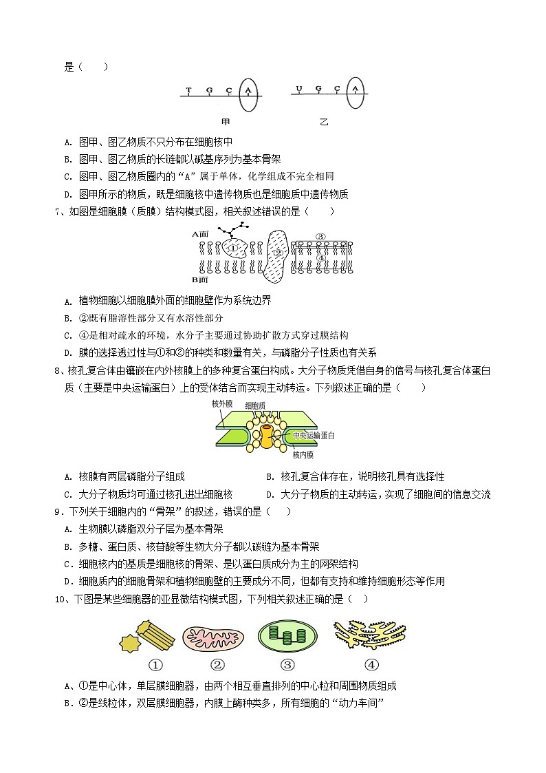 江苏省南通市某校2023-2024学年高一上学期12月质量监测生物试题第2页