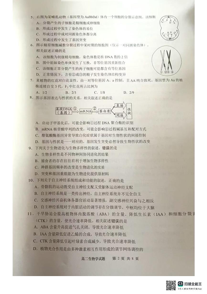 江苏省南通市启东市等2地2024-2025学年高二上学期11月期中生物试题第2页
