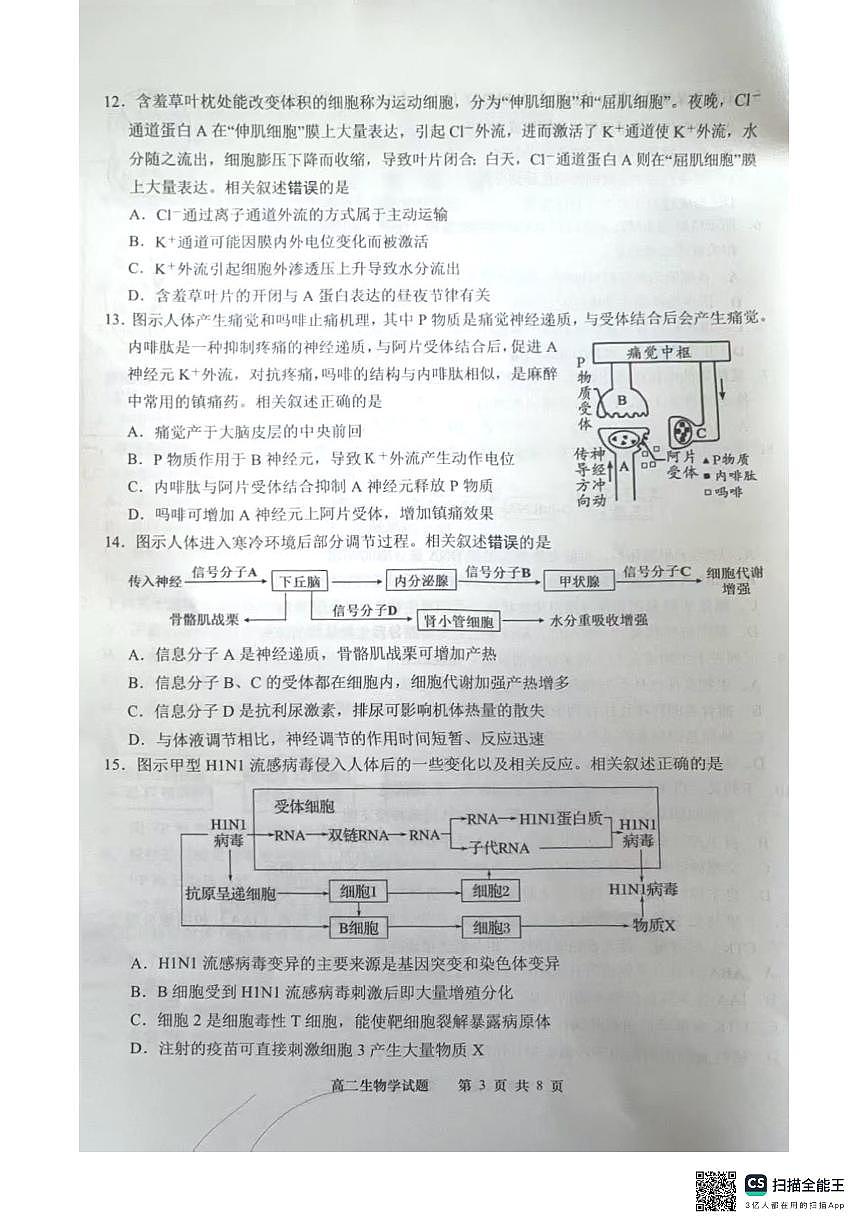 江苏省南通市启东市等2地2024-2025学年高二上学期11月期中生物试题第3页