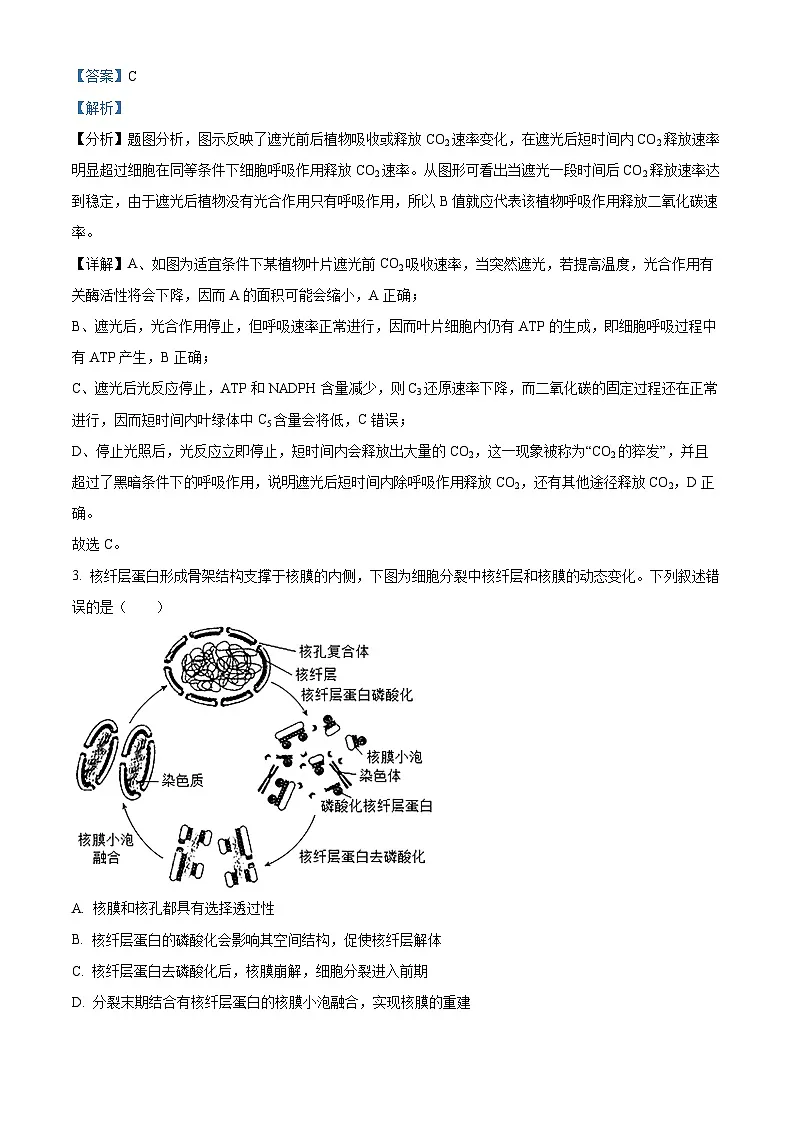 安徽省六安第一中学2025-2026学年高三上学期11月月考生物试题 Word版含解析第2页
