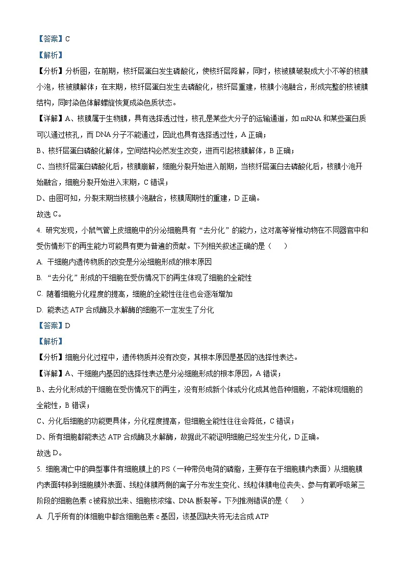 安徽省六安第一中学2025-2026学年高三上学期11月月考生物试题 Word版含解析第3页