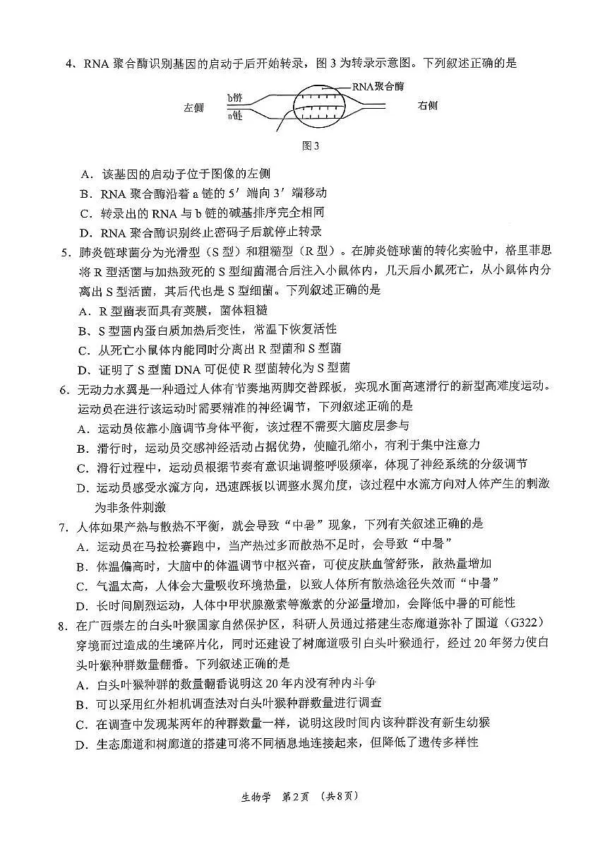 广西柳州市2026届高三第一次模拟考试生物第2页