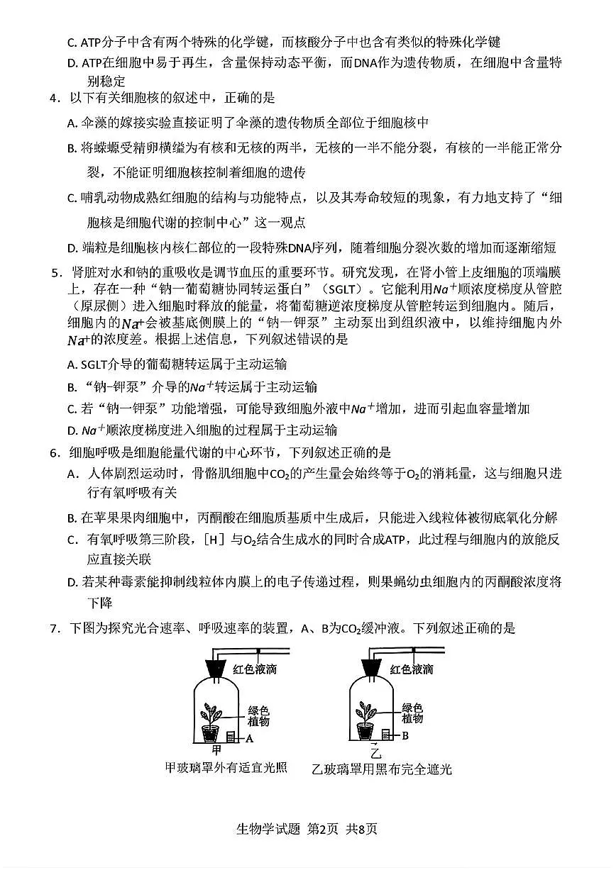 2025-2026学年河南省新未来大联考高三（上）期中生物学试卷（含答案）第2页