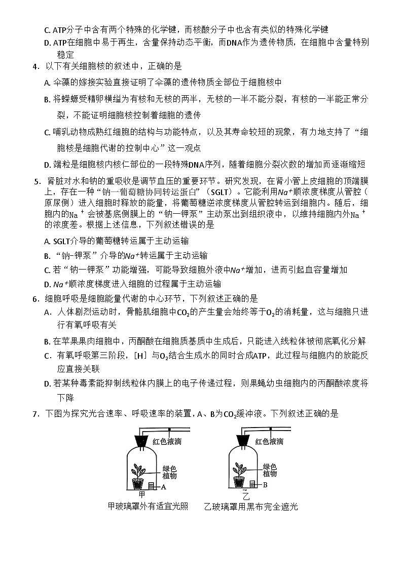 河南省新未来大联考2025-2026学年高三上学期11月考试生物试卷第2页