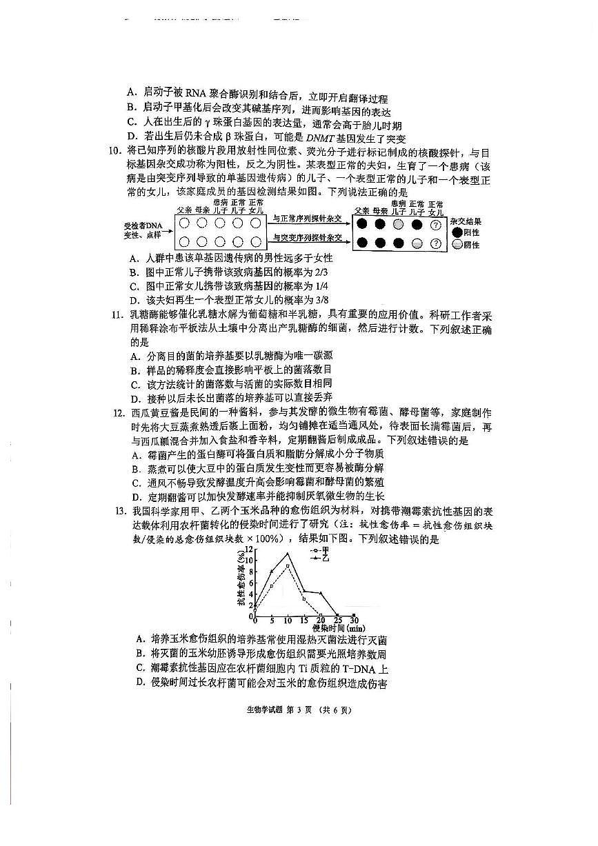四川省成都蓉城联盟2026届高三上学期11月第一次诊断考生物试题+答案第3页