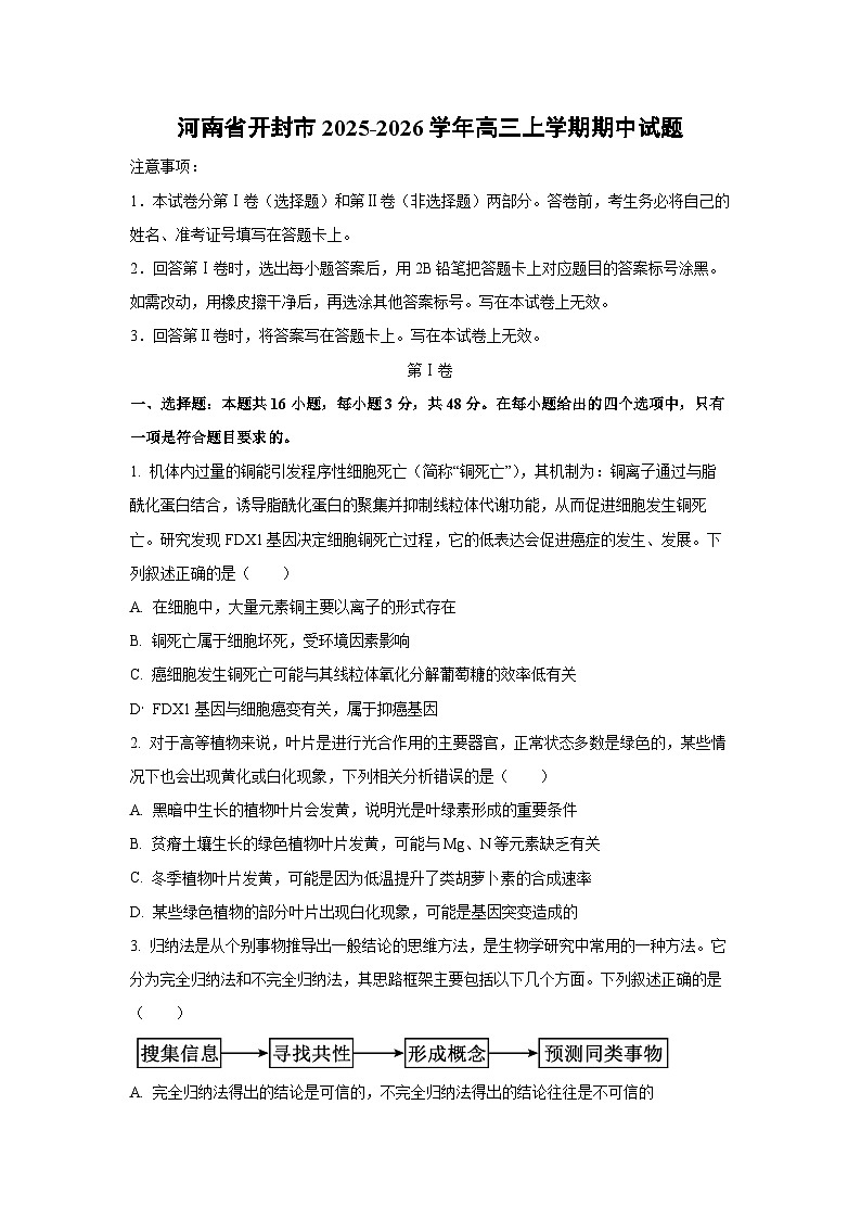 2025-2026学年河南省开封市高三上学期期中生物试题（学生版）第1页