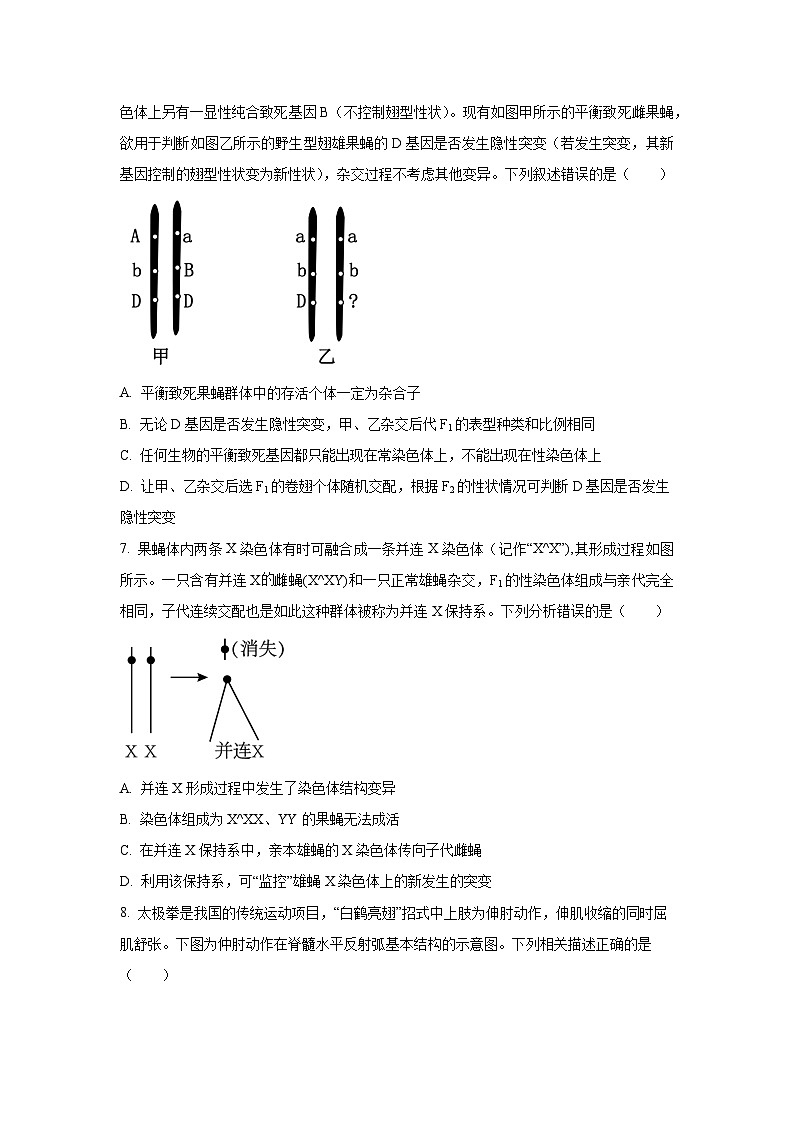 2025-2026学年河南省开封市高三上学期期中生物试题（学生版）第3页