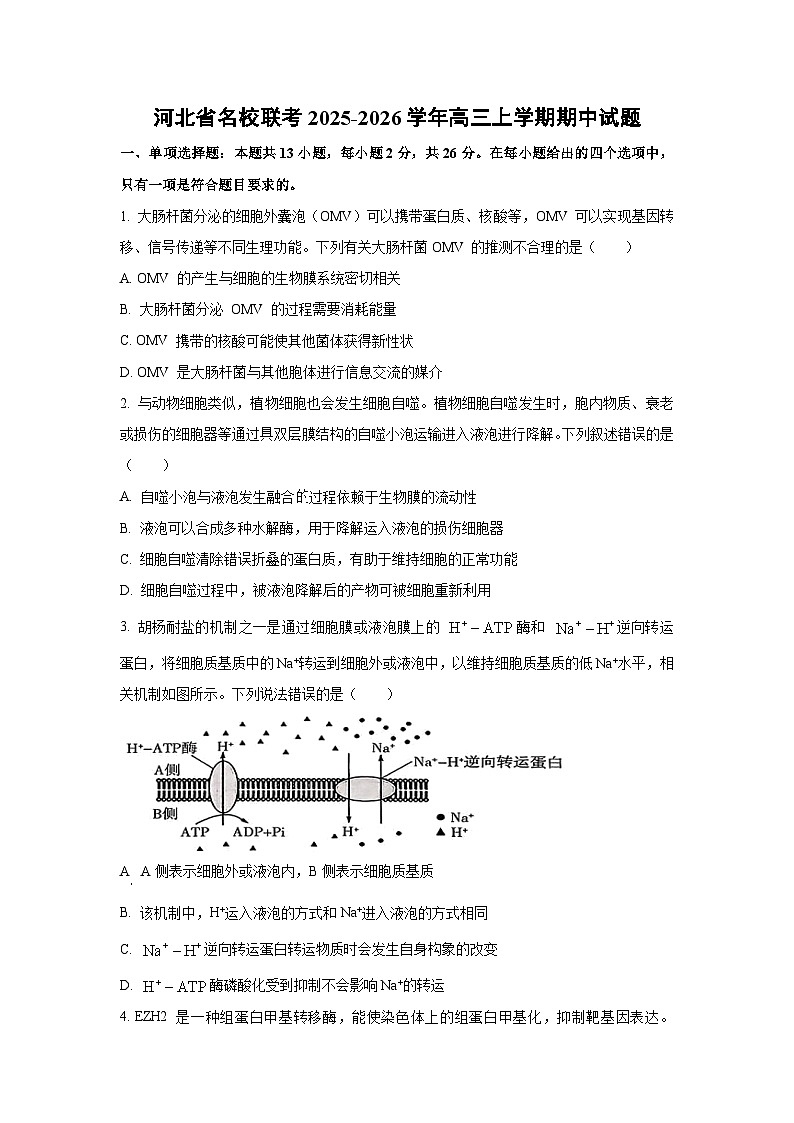 2025-2026学年河北省名校联考高三上学期期中生物试题（学生版）第1页