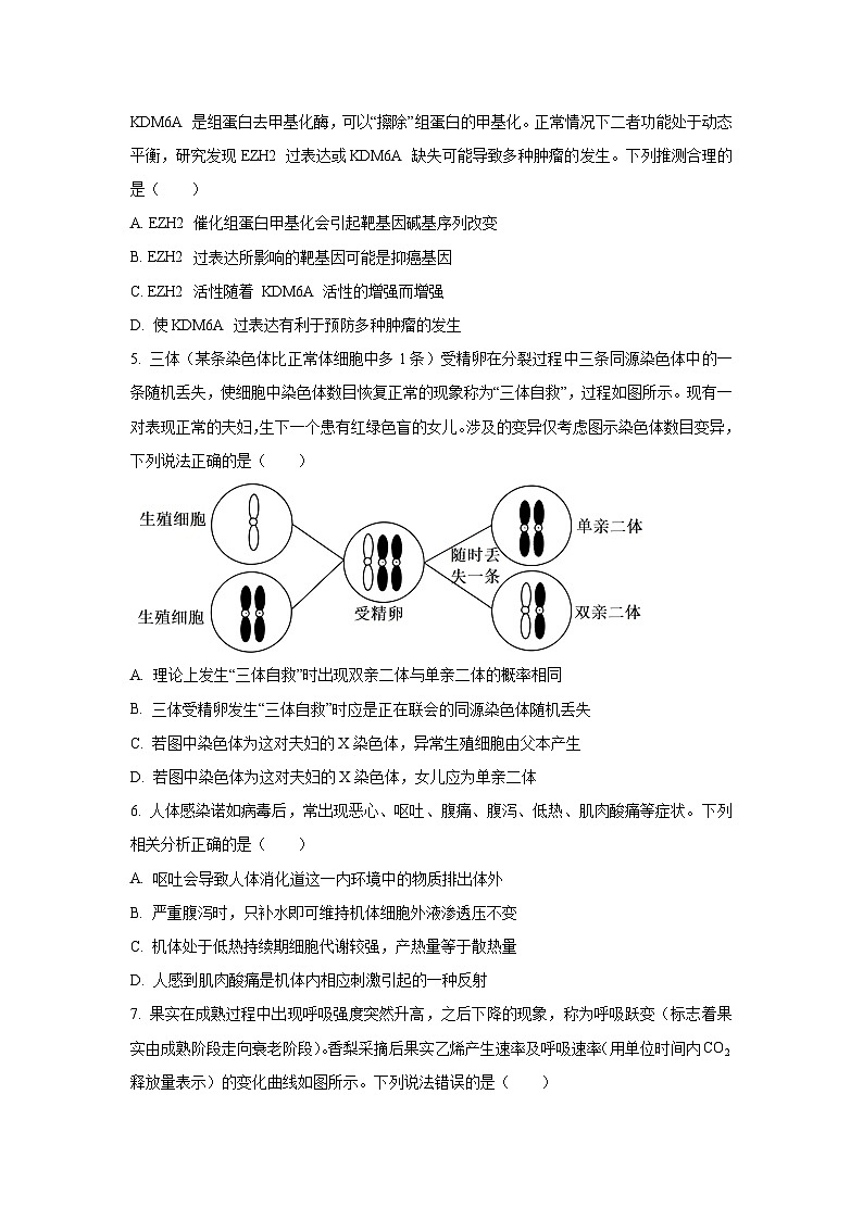 2025-2026学年河北省名校联考高三上学期期中生物试题（学生版）第2页