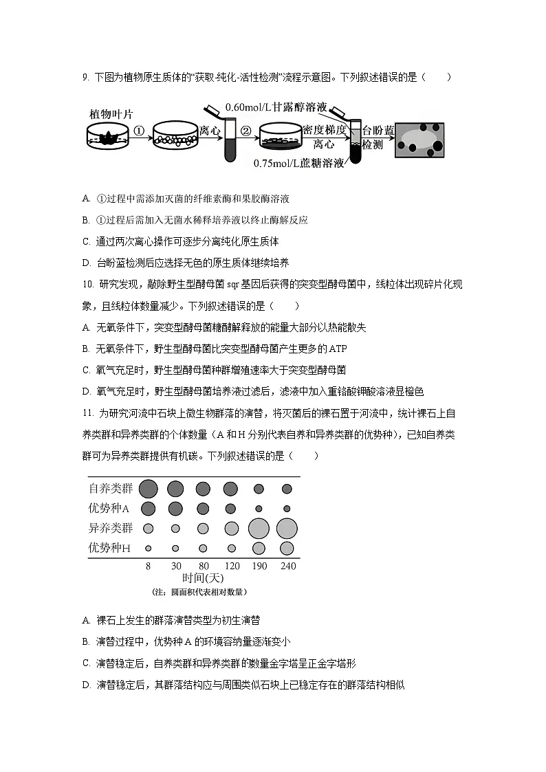 2026届浙江省金华市高三一模生物试题（学生版）第3页