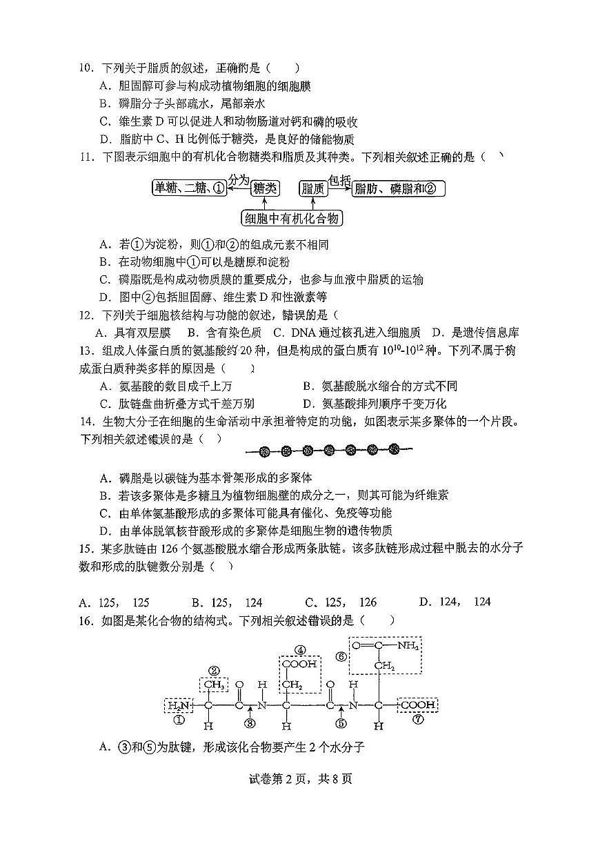 江苏省扬州市新华中学2025-2026学年高一上学期11月期中考试生物试题第2页