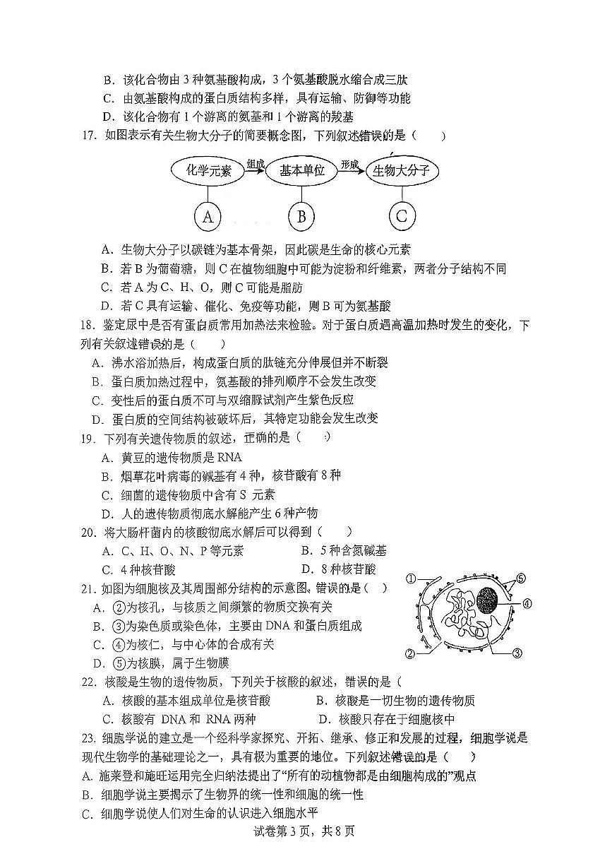 江苏省扬州市新华中学2025-2026学年高一上学期11月期中考试生物试题第3页