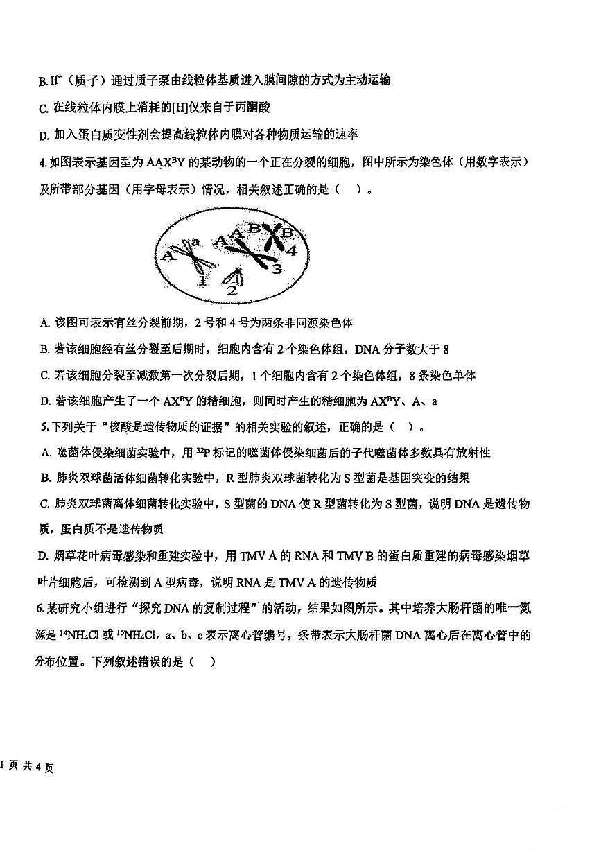 天津市第九十五中学2025-2026学年高三上学期期中考试生物试题第2页