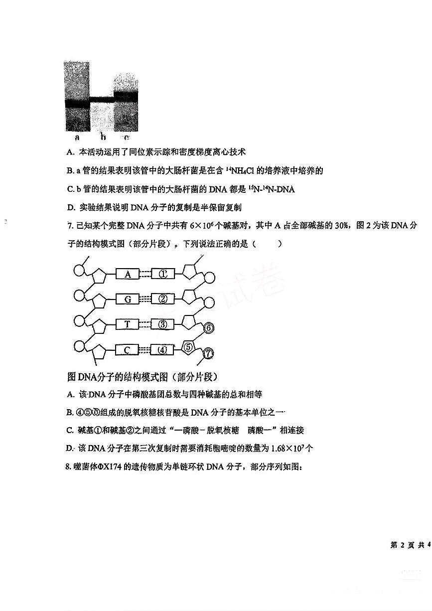 天津市第九十五中学2025-2026学年高三上学期期中考试生物试题第3页