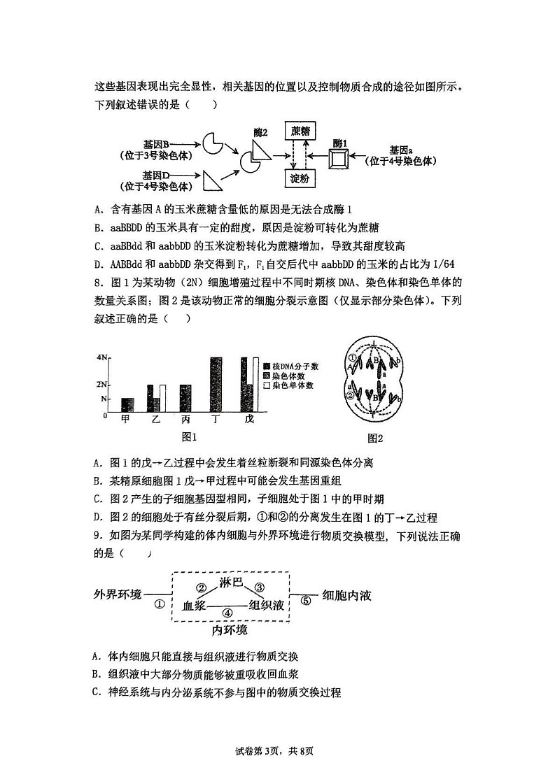 江西省南丰县第一中学2024-2025学年高三上学期期末测试生物试题第3页