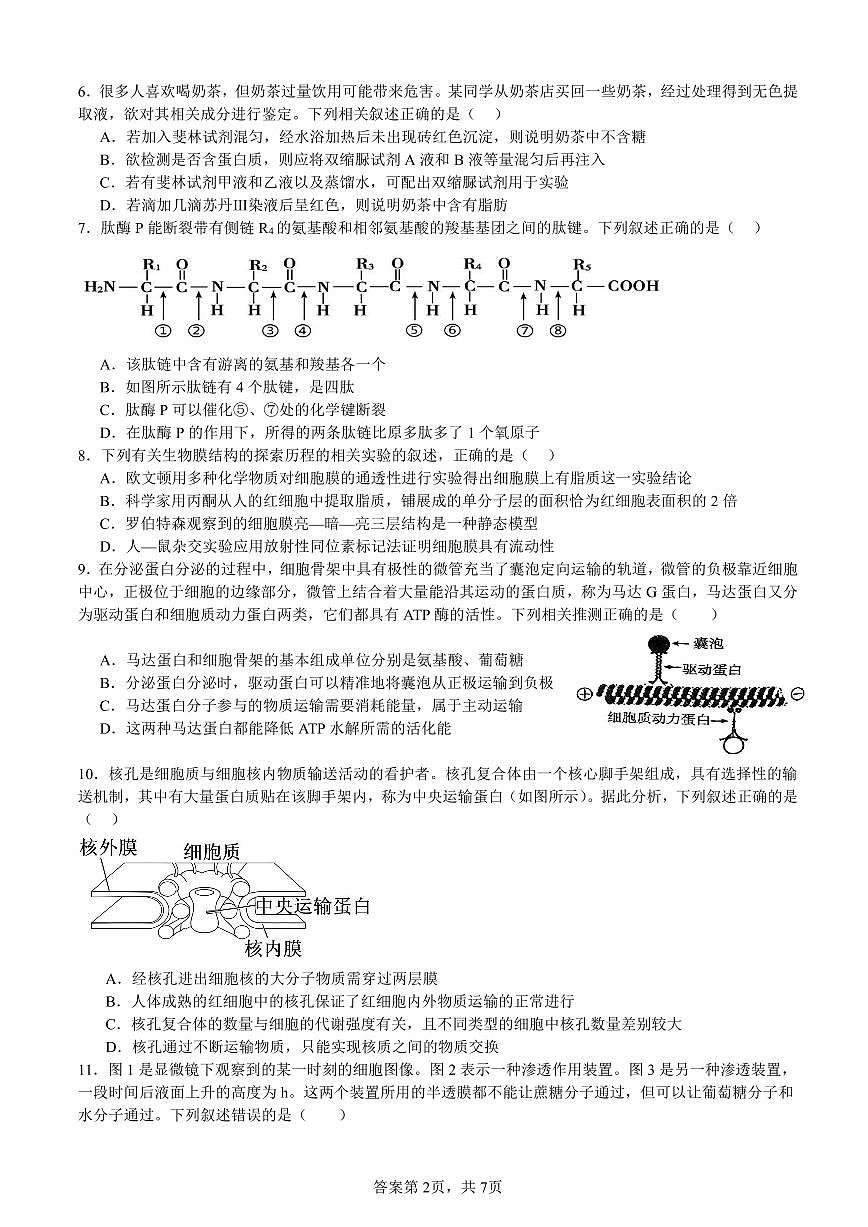 安徽省淮北市第一中学高一上学期末生物试卷（PDF版）第2页