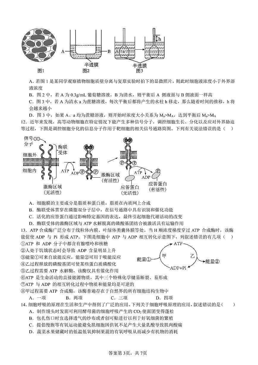 安徽省淮北市第一中学高一上学期末生物试卷（PDF版）第3页