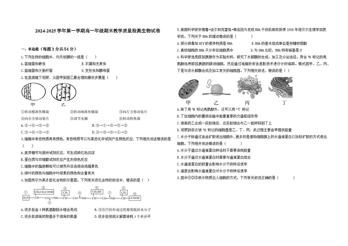 安徽省阜阳市临泉田家炳实验中学2024-2025学年高一上学期1月期末考试生物试题第1页