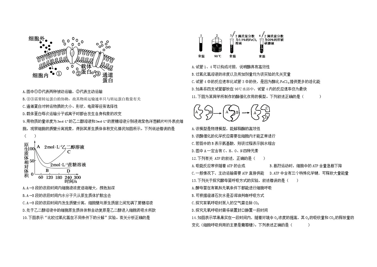 安徽省阜阳市临泉田家炳实验中学2024-2025学年高一上学期1月期末考试生物试题第2页
