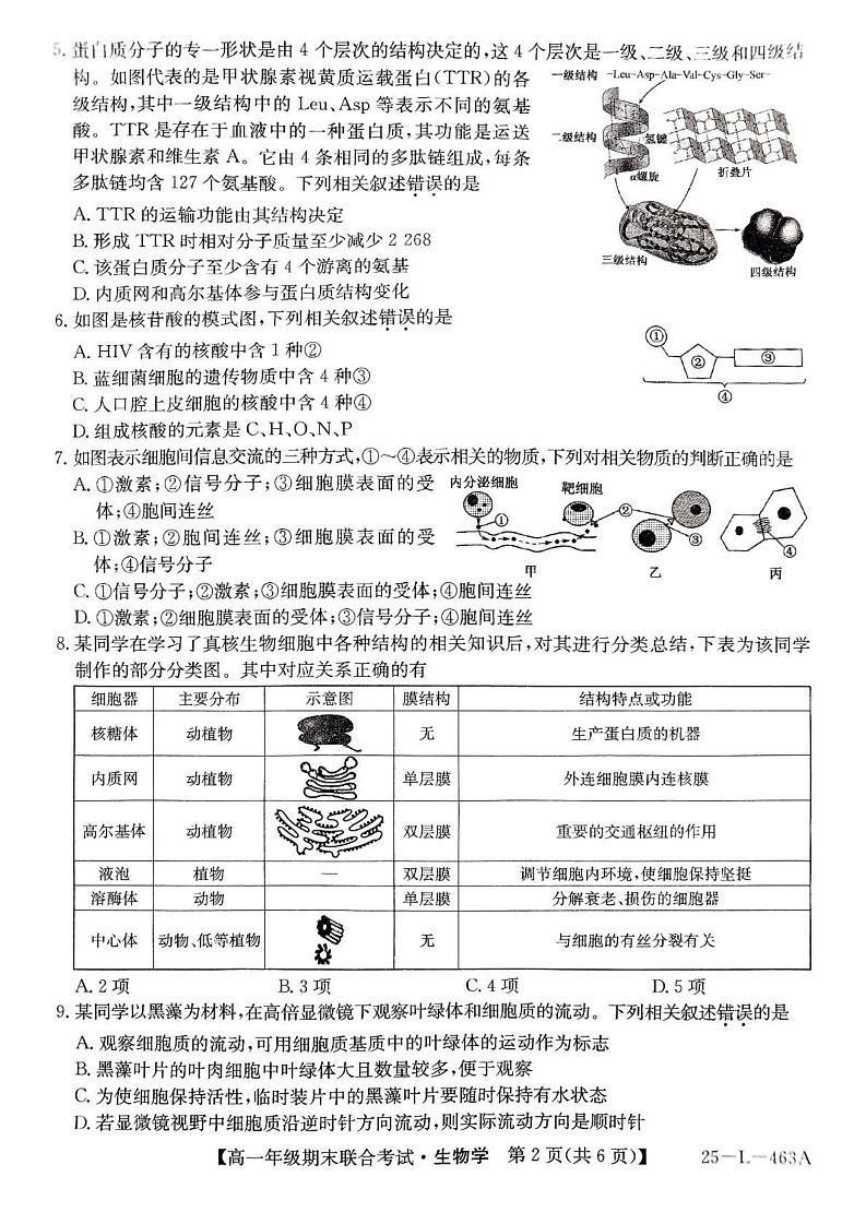 辽宁省朝阳市2024-2025学年高一上学期期末联考生物试卷第2页