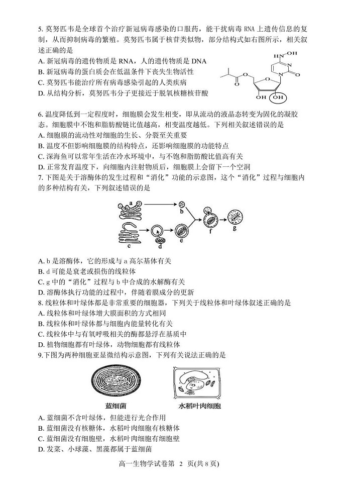 辽宁省丹东市2024-2025学年高一上学期期末教学质量调研测试生物试卷第2页