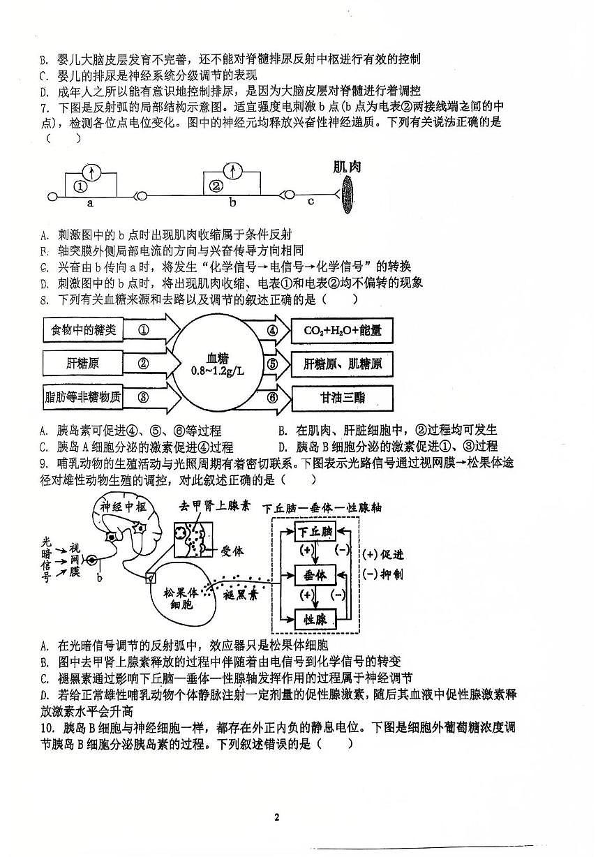 天津市武清城关中学2025—2026学年高二上学期第一次月考生物试卷第2页