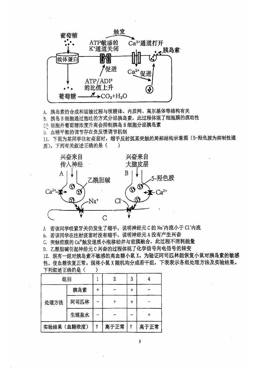 天津市武清城关中学2025—2026学年高二上学期第一次月考生物试卷第3页