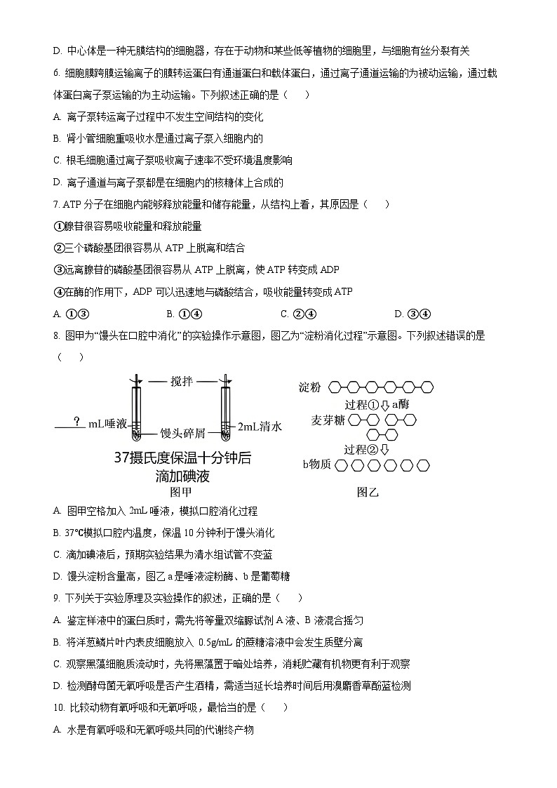 安徽省合肥市第六中学2024-2025学年高一上学期期末检测生物试卷（原卷版）-A4第2页