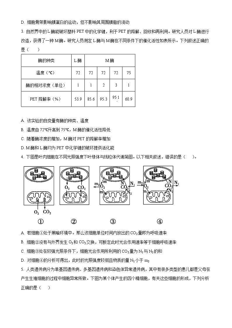 湖北省部分高中2026届高三上学期11月期中联考生物试题（原卷版）第2页