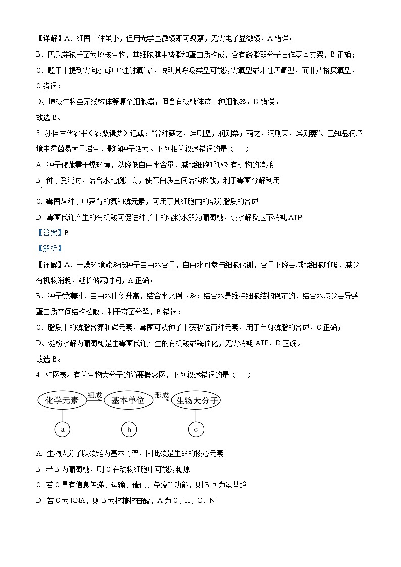 安徽省A10联盟2025-2026学年高三上学期期中考试生物试卷  Word版含解析第2页