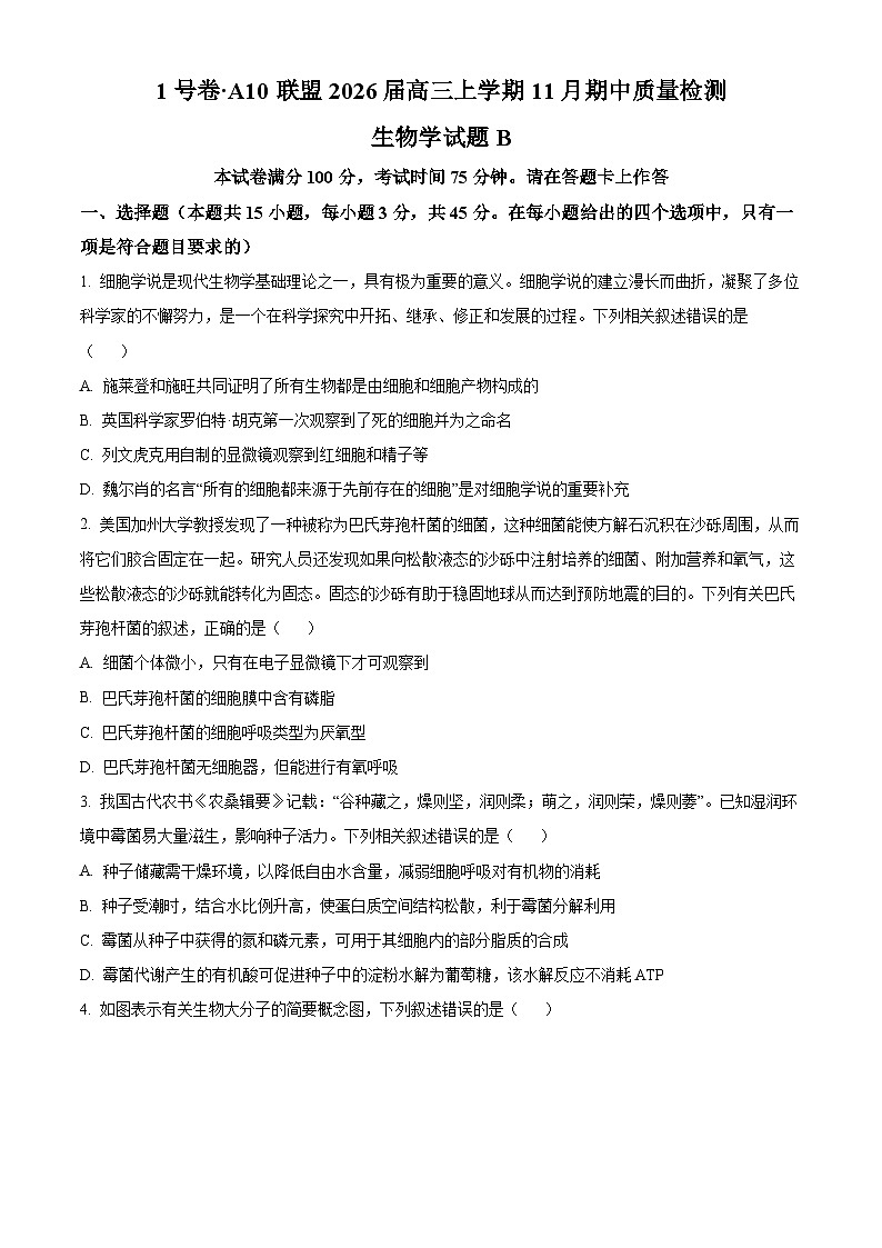 安徽省A10联盟2025-2026学年高三上学期期中考试生物试卷  Word版无答案第1页