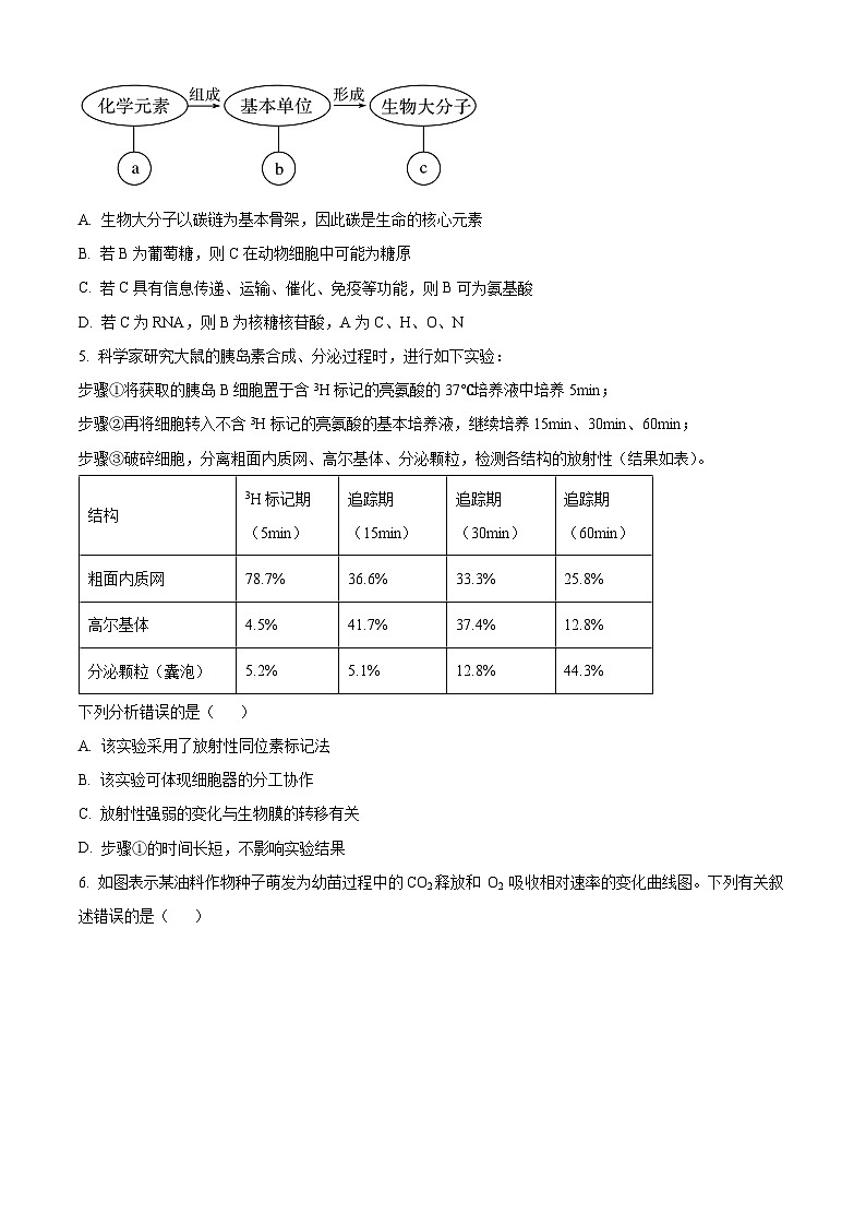 安徽省A10联盟2025-2026学年高三上学期期中考试生物试卷  Word版无答案第2页