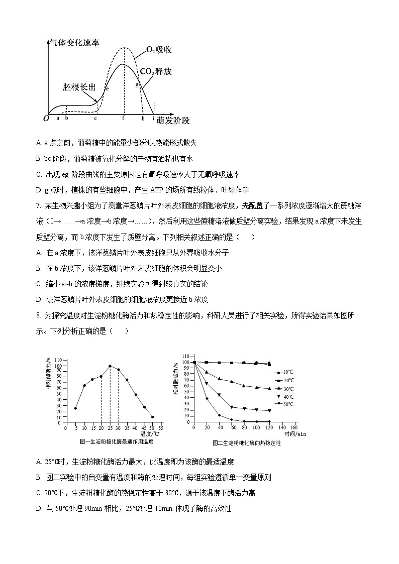 安徽省A10联盟2025-2026学年高三上学期期中考试生物试卷  Word版无答案第3页