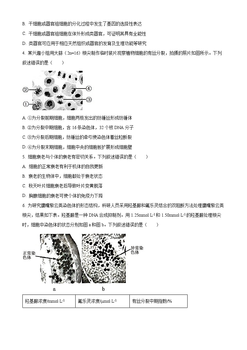 安徽省九师联盟2025-2026学年高三上学期11月联考生物试题  Word版无答案第2页