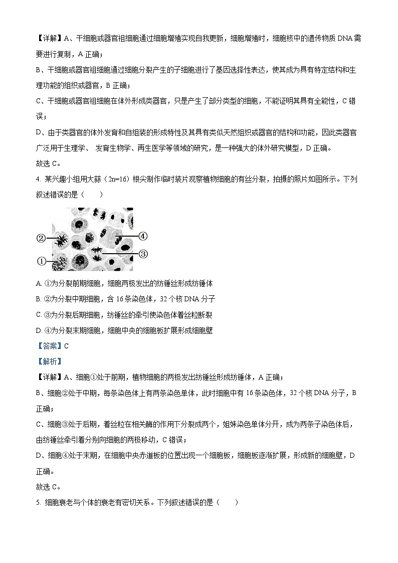 安徽省九师联盟2025-2026学年高三上学期11月联考生物试题  Word版含解析第3页