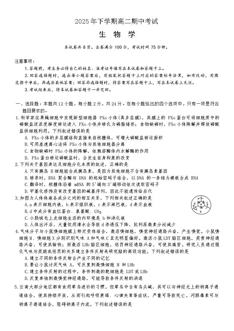 湖南省名校联盟大联考20252026学年高二上学期期中考试生物试卷第1页
