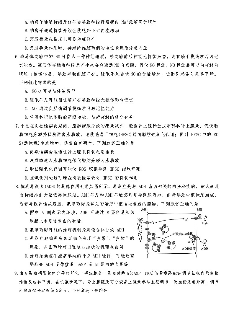 湖南省名校联盟大联考20252026学年高二上学期期中考试生物试卷第2页